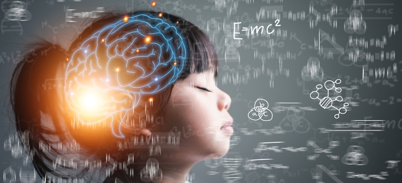 La neuroeducación