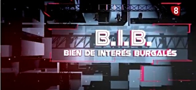 Bien de Interés Burgalés