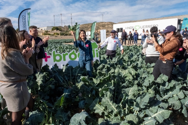 Corte del primer brócoli