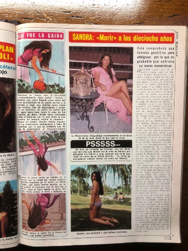 revistas 1