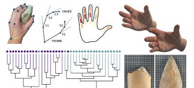 imagen del estudio de manos y bifaces en la investigación