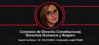 María Nieves Alonso García participa en un congreso online en México