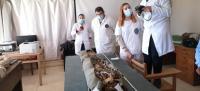 Imagen de Ricardo Ortega y su equipo en el estudio de una momia en Egipto